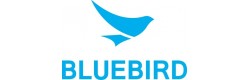 Bluebird