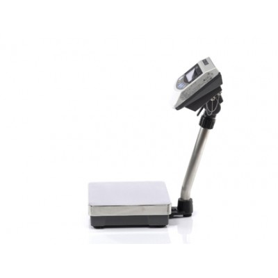 Торговые напольные весы BW-150 Торговые напольные весы BW-150