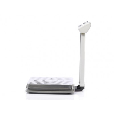 Торговые напольные весы DL-100 Торговые напольные весы DL-100