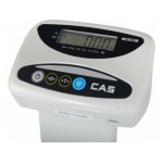 Торговые напольные весы DL-100 Торговые напольные весы DL-100