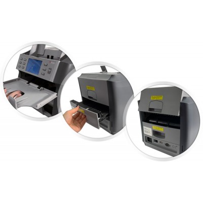 Cassida Apollo Cassida Apollo