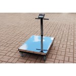 Весы товарные мобильные ПВм-3/300-П Весы товарные мобильные ПВм-3/300-П