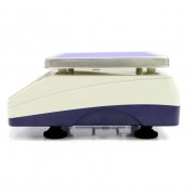 Весы МИДЛ МТ В1ЖА Ф-стандарт 6