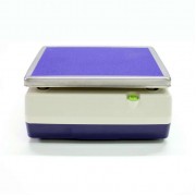 Весы МИДЛ МТ В1ЖА Ф-стандарт 6