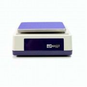 Весы МИДЛ МТ В1ДА Ф-стандарт