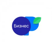 Приложение Payberry Бизнес