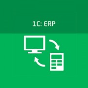 Приложение 1С ERP
