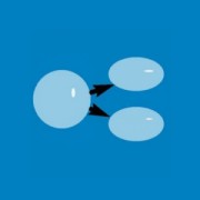 Приложение Нет Объединению