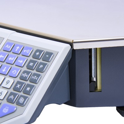 Весы ШТРИХ ПРИНТ ФI Весы ШТРИХ ПРИНТ ФI