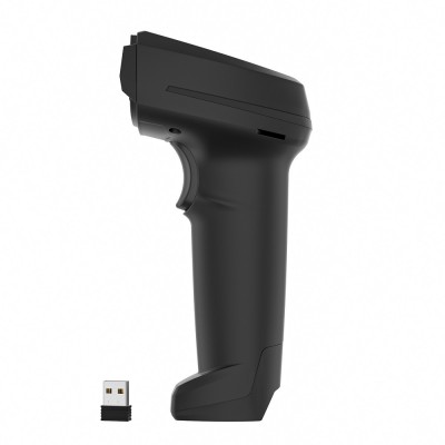 Space X-2024BT Space X-2024BT