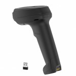 Space X-2024BT Space X-2024BT