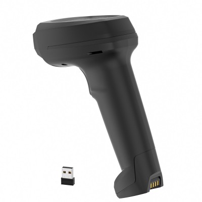 Space X-2024BT Space X-2024BT