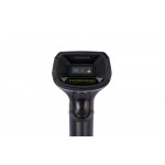 Space X-2024BT Space X-2024BT