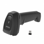 Space X-2024BT Space X-2024BT